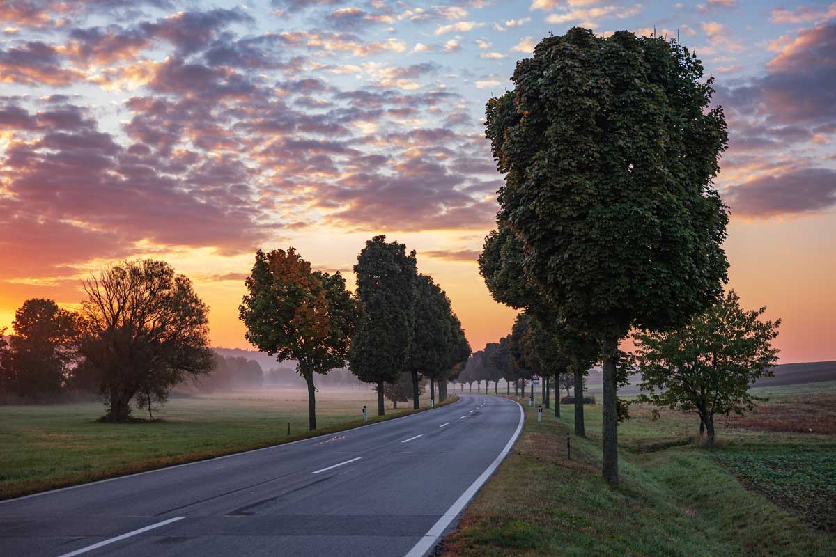 Allee im Sonnenuntergang